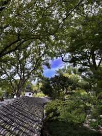 拙政園｜在江南園林裡，邂逅一場詩意漫遊～