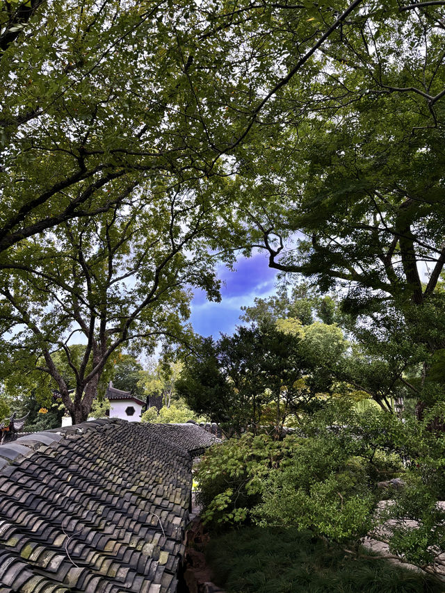 拙政園｜在江南園林裡，邂逅一場詩意漫遊～