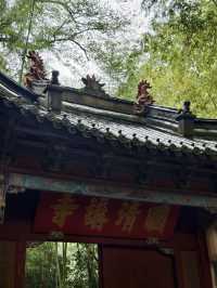 天台山秋意爆表！國清寺秋收盛景等你打卡