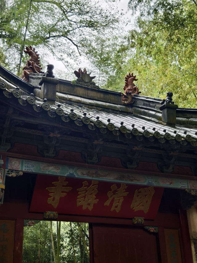 天台山秋意爆表！國清寺秋收盛景等你打卡