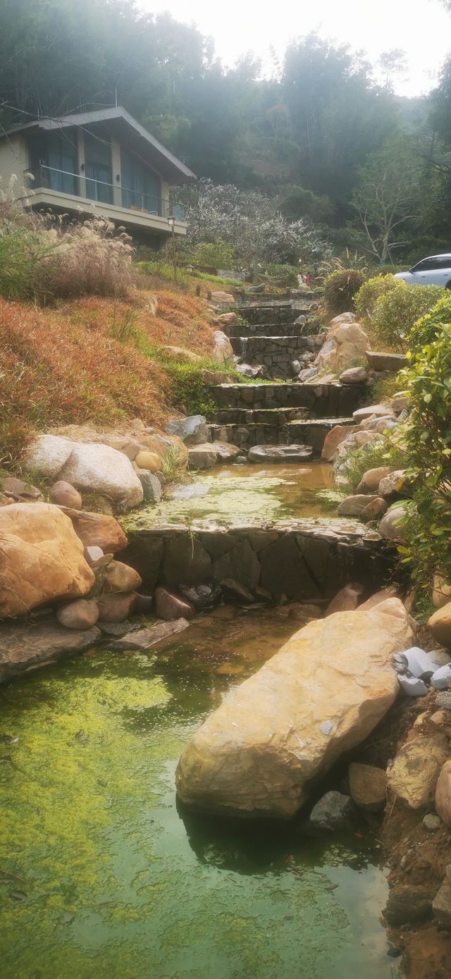信宜李鄉竹海旅遊度假區