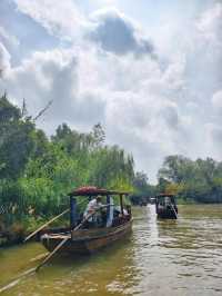 泰州溱湖濕地公園,真實體驗及攻略解析