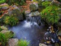 Solo in a Hidden Vancouver Gem: The Momiji Garden at Hastings Park