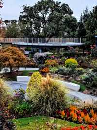 空中步廊俯瞰花草描繪的彩色大地。