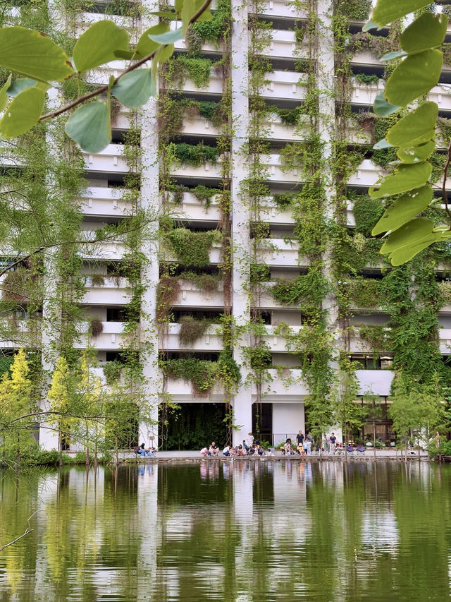 在深圳,找到了一個能讓時間慢下來的地方 在深圳,找到了一個能讓時間慢下來的地方