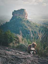斯里蘭卡｜蒼穹之下，唯有一石