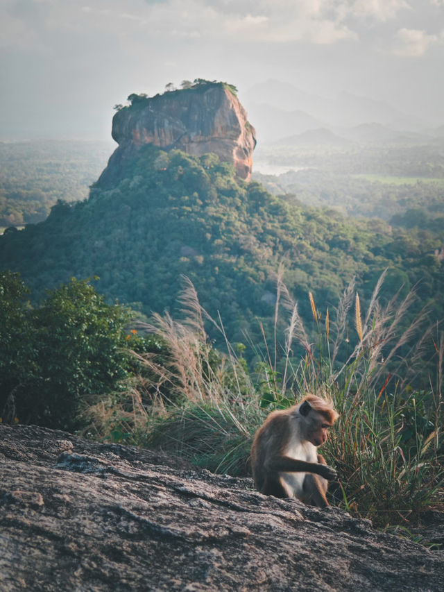 斯里蘭卡｜蒼穹之下，唯有一石