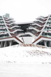 住進長白山鹿苑裡!睡醒就被小鹿包圍,冬季限定浪漫!