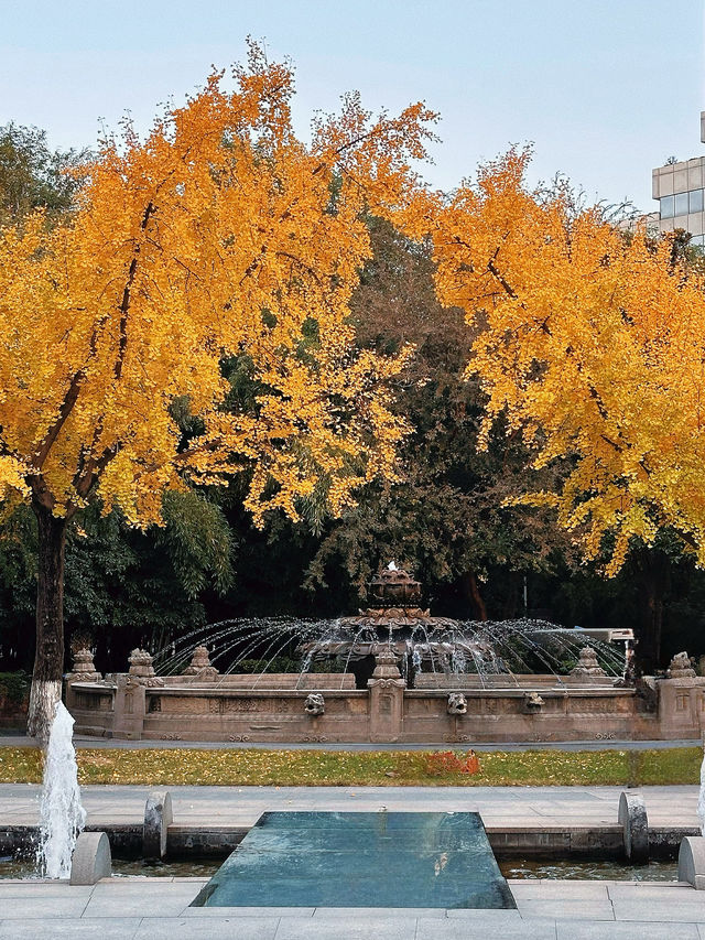 西安市區0元賞秋!索菲特銀杏大道地鐵直達的歐式浪漫 西安市區0元賞秋!索菲特銀杏大道地鐵直達的歐式浪漫
