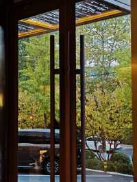 青島寶藏酒店｜位置好到哭，細節戳心巴