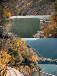 來回9小時，值回票價到喊晒！松坪溝嘅秋天簡直係神級啦