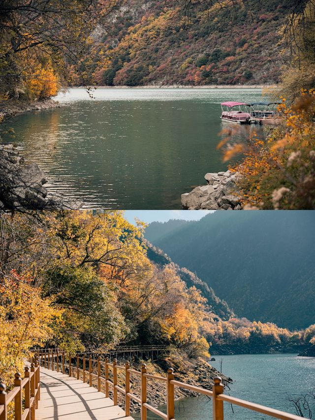 來回9小時，值回票價到喊晒！松坪溝嘅秋天簡直係神級啦
