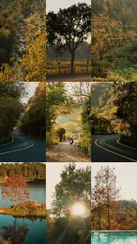 新昌,回山秋景已經藏不住了快衝呀