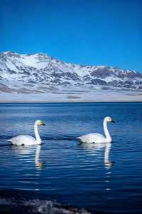 我會反覆愛上賽里木湖的冬天！