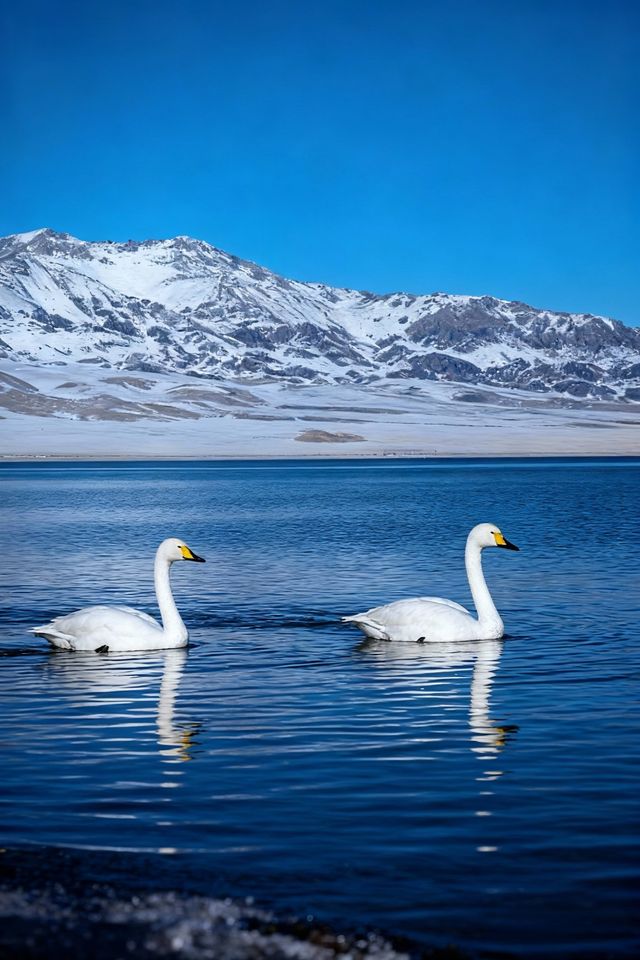 我會反覆愛上賽里木湖的冬天！