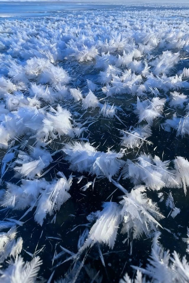 我會反覆愛上賽里木湖的冬天！