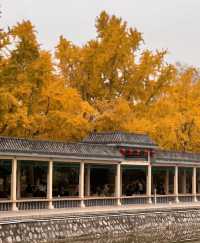 邯鄲紅葉景點推薦｜紅葉漫行必看5大秘境隨手拍大片！