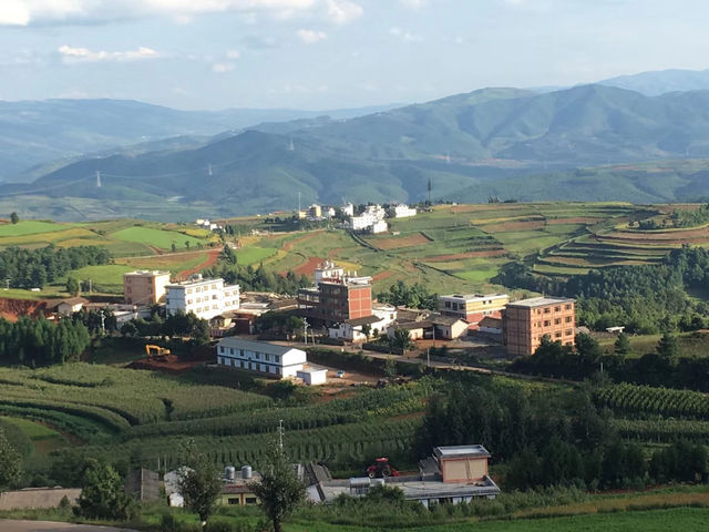 油菜花海徒步攻略