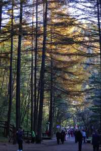 秦嶺留壩環線之情人谷