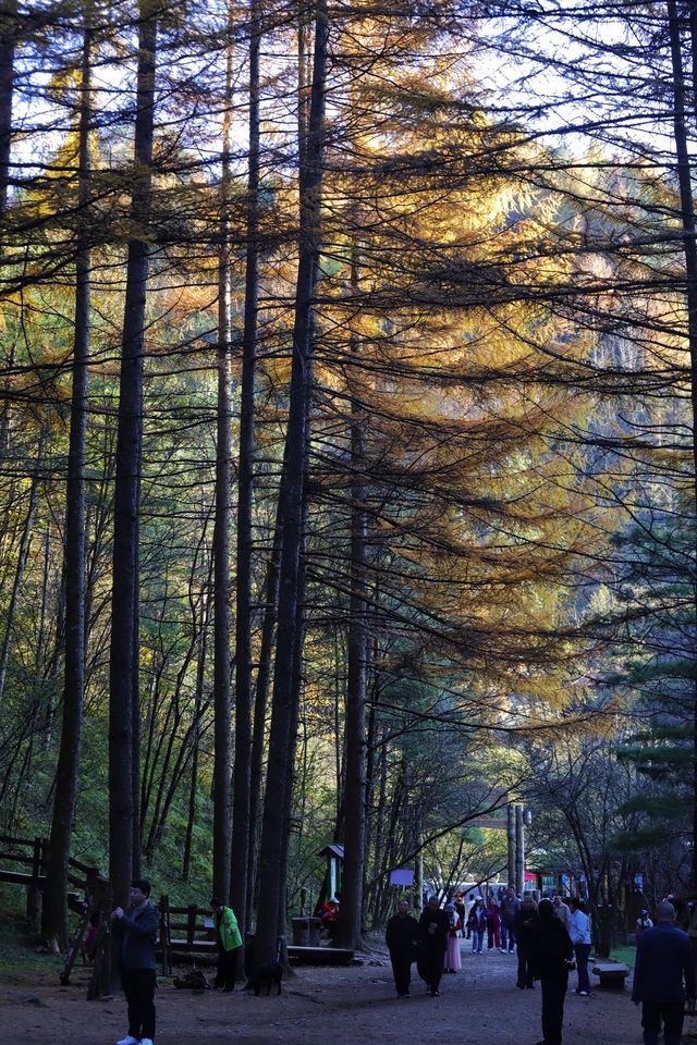 秦嶺留壩環線之情人谷