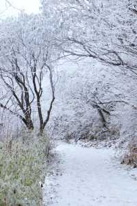24年千佛山下雪後美哭了！絕美霧淞仙境快來打卡