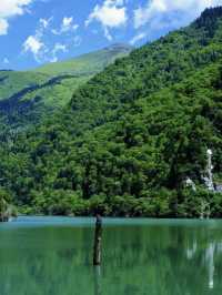 川西松平溝秘境99%的人都不知道的寶藏地