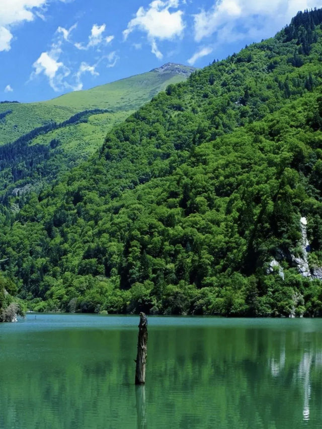 川西松平溝秘境99%的人都不知道的寶藏地