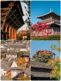 濮院古鎮｜冷門到爆的江南秘境！