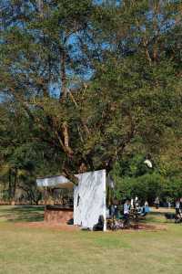 上海杭州周邊｜不在奈良，在諸暨