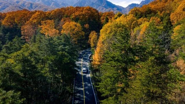 洛陽36家景區官宣：免門票！有優惠！