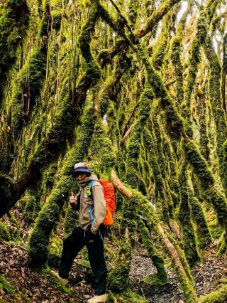 神秘を打ち破り、原始の秘境に近づき、哀牢山を探検しよう〜