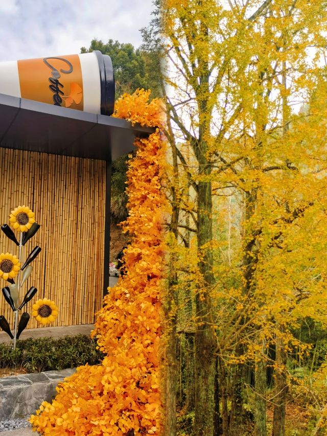 你還沒去過靈山坞銀杏公園？這份秋日浪漫已加載99%