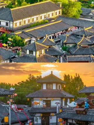 山東私藏小眾海畔秘境！東營的濕地美到不敢分享