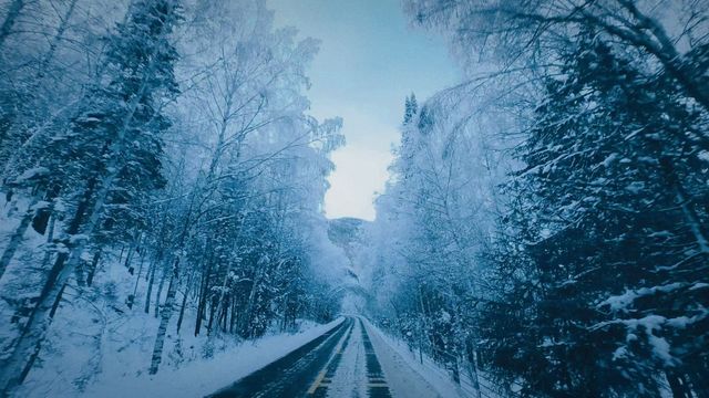 新疆阿勒泰喀納斯冰雪仙境｜初雪飄落美到窒息