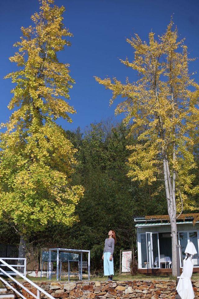 稱這裡為郴州版「洱海」一點也不假……