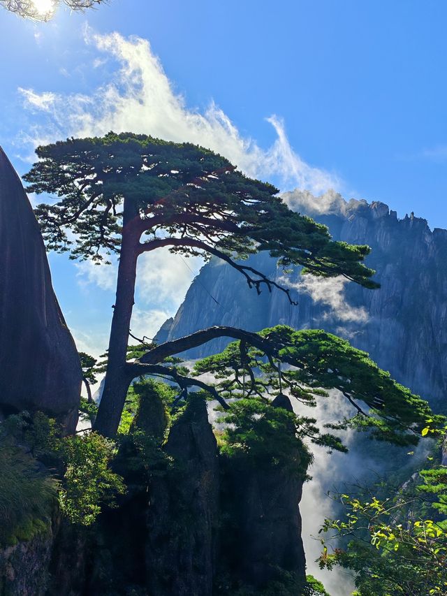 黃山30小時極限挑戰：兩天一夜保姆級攻略，解鎖100%精華體