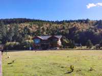 普達措生態秘境指南