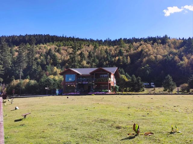 普達措生態秘境指南