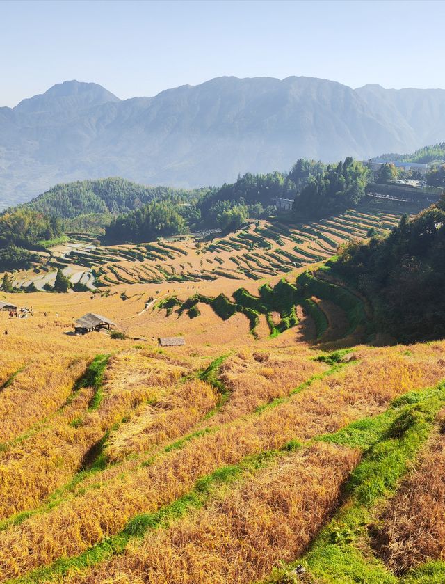 雲和梯田 雲和梯田