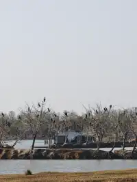 鹽城｜江蘇肯尼亞名不虛傳