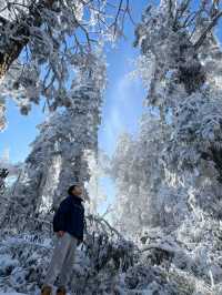 瓦屋山雪已就位！成都自駕3h直達的冰雪快樂，霧淞、冰瀑、滑雪全拿捏，新手閉眼衝的攻略整理好啦，趕緊碼