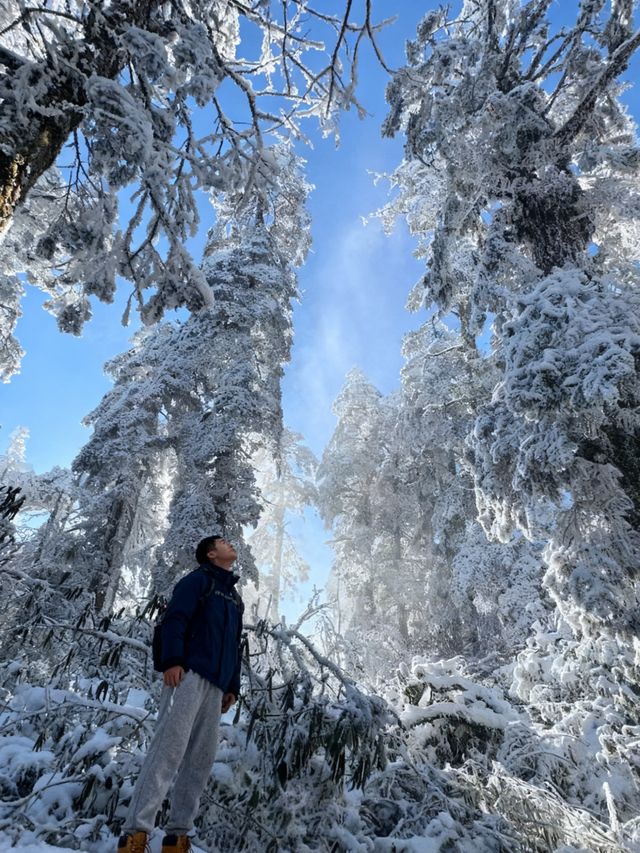 瓦屋山雪已就位！成都自駕3h直達的冰雪快樂，霧淞、冰瀑、滑雪全拿捏，新手閉眼衝的攻略整理好啦，趕緊碼