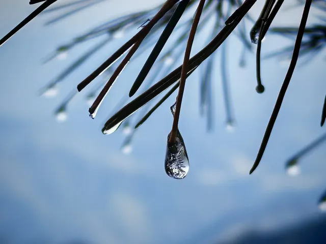 三清山奇遇記！誤打誤撞解鎖絕美晴天