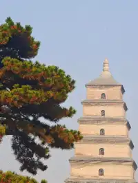 成都8歲崽3天2夜勇闖長安城!