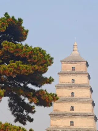 An 8-year-old in Chengdu bravely explores Chang'an City for 3 days and 2 nights!