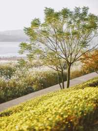 從雅格歡聚酒店出發，解鎖濱江秋日旅拍的N種浪漫