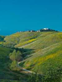 Chino Hills跑步路線運動起來真舒服