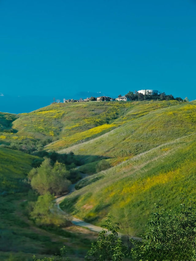 Chino Hills跑步路線運動起來真舒服