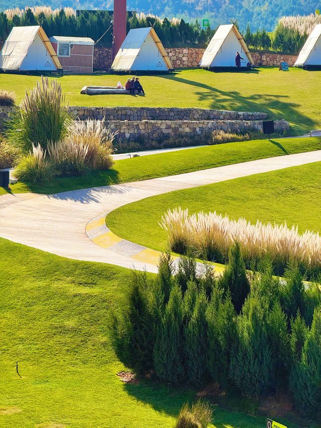 11.26實況!大理最美雪山機位被我找到啦 11.26實況!大理最美雪山機位被我找到啦