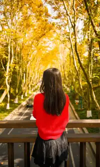 暮秋風起染金陵 我拍到一整個南京的秋天